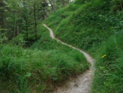 2013-07-20_Regina-F-Rau_Kochel-Rabenkopf (497).JPG